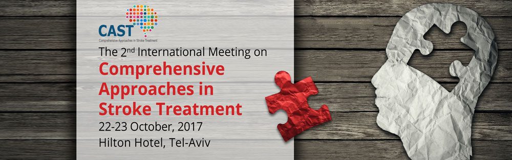 The Comprehensive Approaches in Stroke Treatment Meeting